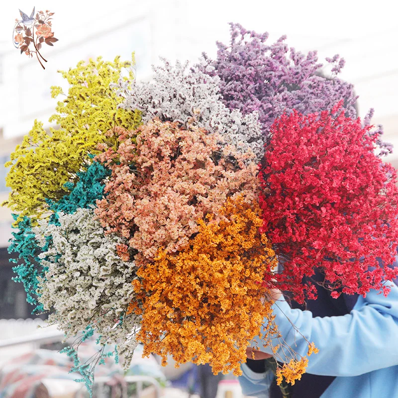 الزهور المجففة الطبيعية كريستا - مراجعة Dried Flower Bulk وسعره